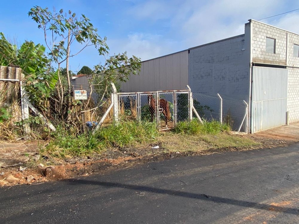 Terreno - Venda - Vila Derige - So Carlos - SP
