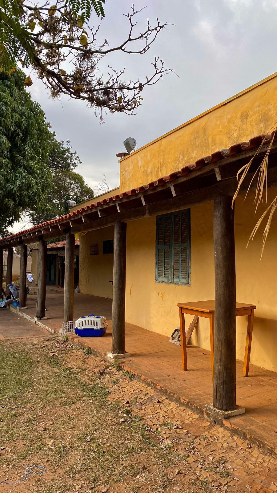 Ch�cara - Venda - Arac� de Santo Antonio - S�o Carlos - SP