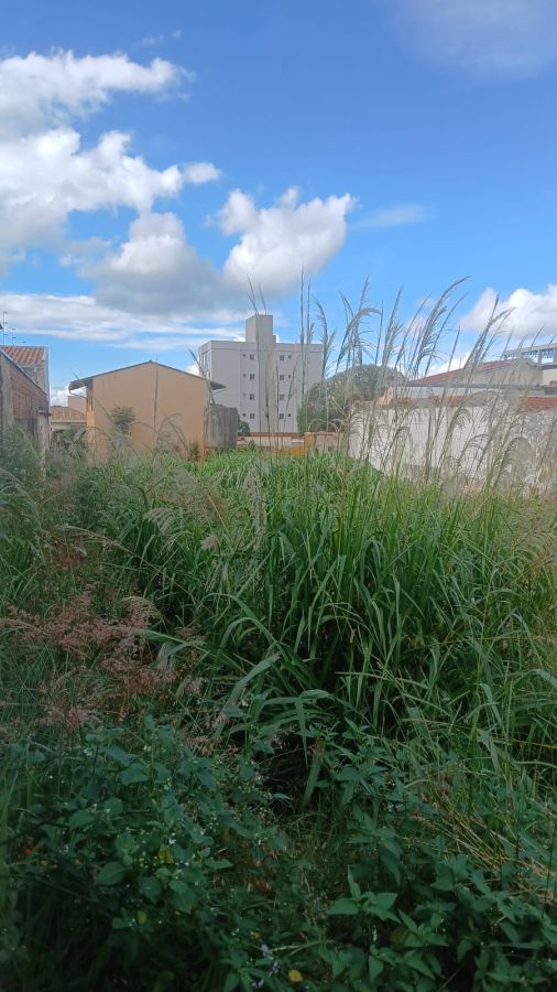 Terreno - Venda - Jardim Macarengo - S�o Carlos - SP